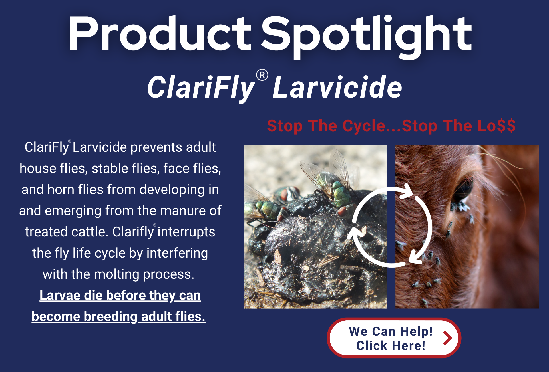 Product spotlight card for Clarify Larvicide